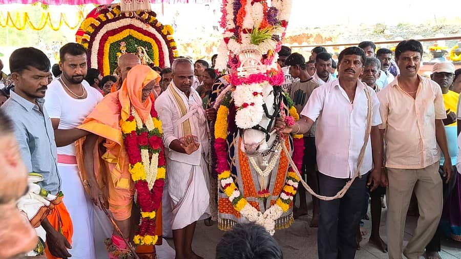 ಕನಕಪುರ ಶಿವನಹಳ್ಳಿ ಶಿವಶಂಕರ ಮಠದಲ್ಲಿ ನಡೆದ ಜಾತ್ರಾ ಮಹೋತ್ಸವದಲ್ಲಿ ಬಸವನಿಗೆ ಪೂಜೆ ನೆರವೇರಿಸಿ ಮೆರವಣಿಗೆ ಮಾಡಲಾಯಿತು