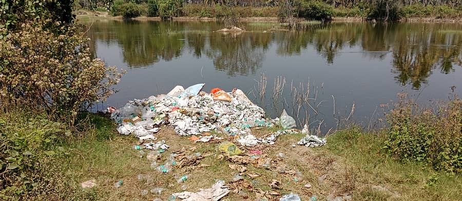 ಹಳೇಬೀಡು ಸಮೀಪದ ಘಟ್ಟದಹಳ್ಳಿಯ ಜಾಲಿಕಟ್ಟೆಯ ನೀರಿಗೆ ಸೇರುತ್ತಿರುವ ಊಟದ ತ್ಯಾಜ್ಯ 