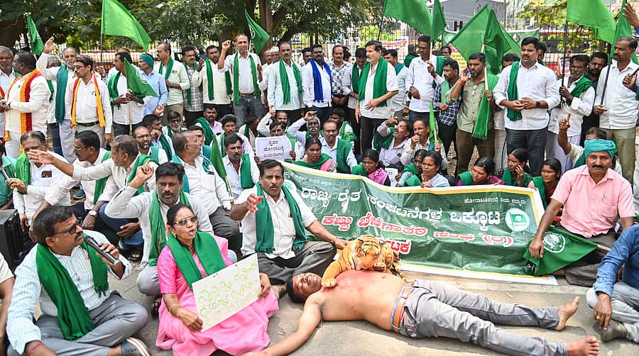 ‘ಕಾಡಂಚಿನ ರೈತರ ರಕ್ಷಣೆಗಾಗಿ ಕಾಡಿನೊಳಗೆ ಸಫಾರಿ ನಿಲ್ಲಿಸಬೇಕು’ ಎಂದು ಒತ್ತಾಯಿಸಿ ರಾಜ್ಯ ರೈತ ಸಂಘಟನೆಗಳ ಒಕ್ಕೂಟ ಹಾಗೂ ರಾಜ್ಯ ಕಬ್ಬು ಬೆಳೆಗಾರರ ಸಂಘದ ಸದಸ್ಯರು ಬುಧವಾರ ಮೈಸೂರು ಜಿಲ್ಲಾಧಿಕಾರಿ ಕಚೇರಿ ಮುಂಭಾಗ ಬುಧವಾರ ಪ್ರತಿಭಟಿಸಿದ ವೇಳೆ ‘ಹುಲಿಯು ರೈತನ ಎದೆ ಬಗಿಯುವ’ ಪ್ರಾತ್ಯಕ್ಷಿಕೆ ಪ್ರದರ್ಶಿಸಿ ಆಕ್ರೋಶ ವ್ಯಕ್ತಪಡಿಸಿದರು.