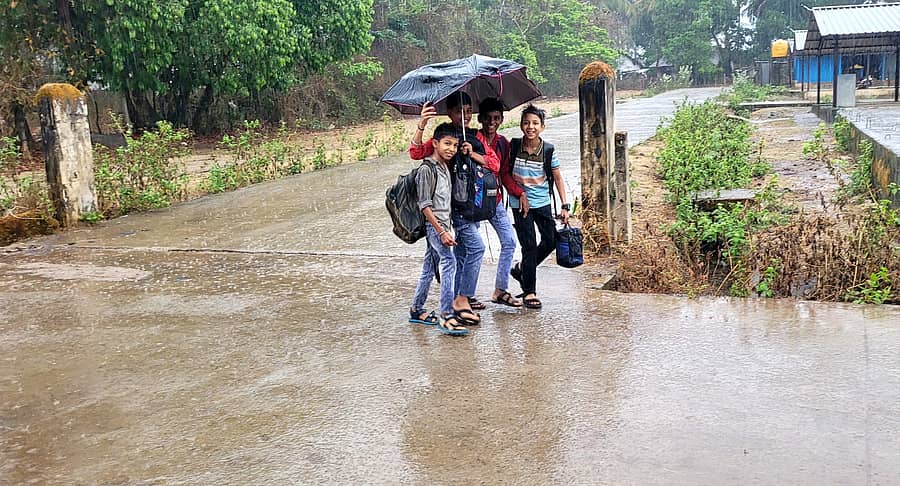 ಶಿವಮೊಗ್ಗ ಜಿಲ್ಲೆಯ ಕೆಲವೆಡೆ ಬುಧವಾರ ಮಳೆ ಸುರಿದಿದ್ದು, ಹೊಸನಗರ ತಾಲ್ಲೂಕಿನ ರಿಪ್ಪನ್‌ಪೇಟೆಯಲ್ಲಿ ಬುಧವಾರ ಮಳೆ ಸುರಿದ ಸಂದರ್ಭ ಶಾಲಾ ವಿದ್ಯಾರ್ಥಿಗಳು ಕೊಡೆ ಹಿಡಿದು ಮನೆಯತ್ತ ಸಾಗುತ್ತಿರುವ ದೃಶ್ಯ