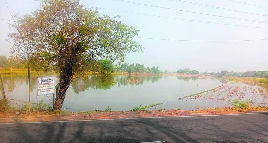 <div class="paragraphs"><p>ತಿ. ನರಸೀಪುರ ತಾಲ್ಲೂಕಿನ ಕೆಂಡನಕೊಪ್ಪಲು ಗ್ರಾಮದ ಜಮೀನಿನಲ್ಲಿ ಮಳೆ ನೀರು ನಿಂತಿದ್ದು, ಭತ್ತದ ನಾಟಿಗೆ ಅಡ್ಡಿಯಾಯಿತು</p></div>