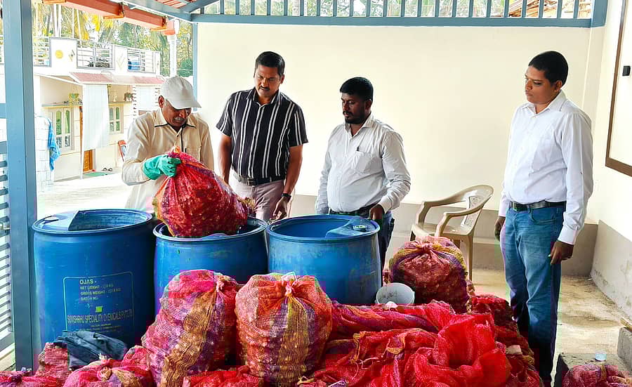 ರೈತರು ಶುಂಠಿಗೆ ಬೀಜೋಪಚಾರವನ್ನು ಮಾಡುತ್ತಿರುವುದನ್ನು  ಗೋಣಿಕೊಪ್ಪಲುವಿನ ಐ.ಸಿ.ಎ.ಆರ್-ಕೃಷಿ ವಿಜ್ಞಾನ ಕೇಂದ್ರದ ವಿಜ್ಞಾನಿಗಳು ಪರಿಶೀಲಿಸಿದರು.