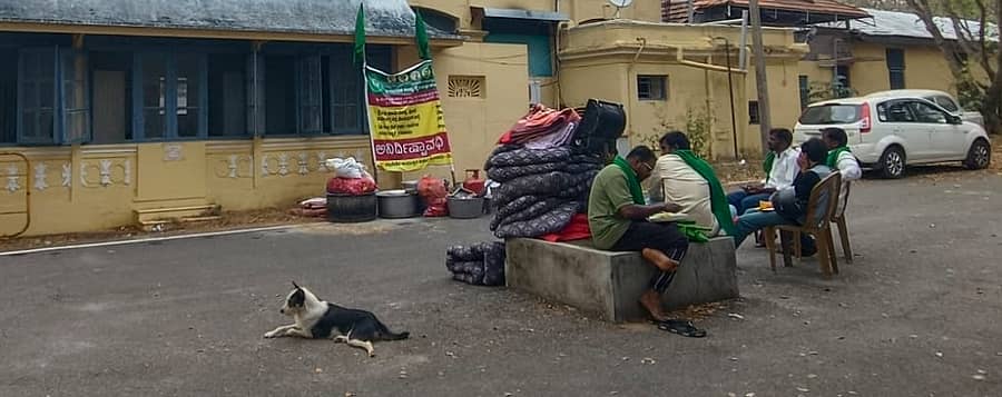 ಮೈಸೂರಿನ ಪ್ರಾದೇಶಿಕ ಆಯುಕ್ತರ ಕಚೇರಿ ಮುಂಭಾಗ ಕರ್ನಾಟಕ ರಾಜ್ಯ ರೈತ ಸಂಘ ಹಾಗೂ ಹಸಿರು ಸೇನೆ ಸದಸ್ಯರು ಬಂಡೀಪುರ ಅರಣ್ಯ ಪ್ರದೇಶದಲ್ಲಿ ಅಕ್ರಮ ರೆಸಾರ್ಟ್ ಹಾಗೂ ಸಫಾರಿ ನಿರ್ಬಂಧಿಸಲು ಒತ್ತಾಯಿಸಿ ಗುರುವಾರ ಅಹೋರಾತ್ರಿ ಧರಣಿ ನಡೆಸಲು ಸಿದ್ಧವಾಗಿರುವುದು