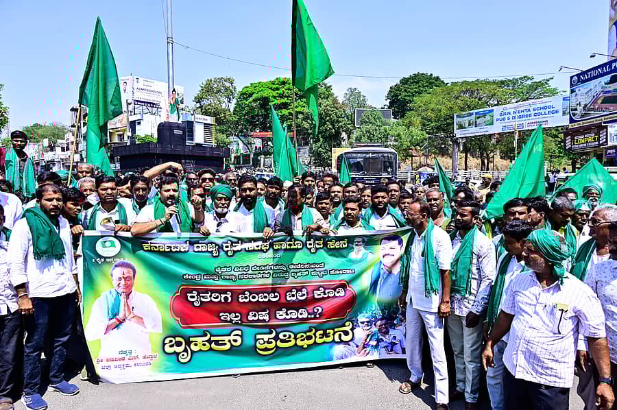 ಕಲಬುರಗಿಯಲ್ಲಿ ರಾಜ್ಯ ರೈತ ಸಂಘ ಹಾಗೂ ರೈತ ಸೇನೆಯ ಪದಾಧಿಕಾರಿಗಳು ಶುಕ್ರವಾರ ಜಗತ್ ಸರ್ಕಲ್‌ನಿಂದ ಜಿಲ್ಲಾಧಿಕಾರಿ ಕಚೇರಿ ವರೆಗೆ ಪ್ರತಿಭಟನಾ ಮೆರವಣಿಗೆ ನಡೆಸಿದರು. ಪ್ರಜಾವಾಣಿ ಚಿತ್ರ