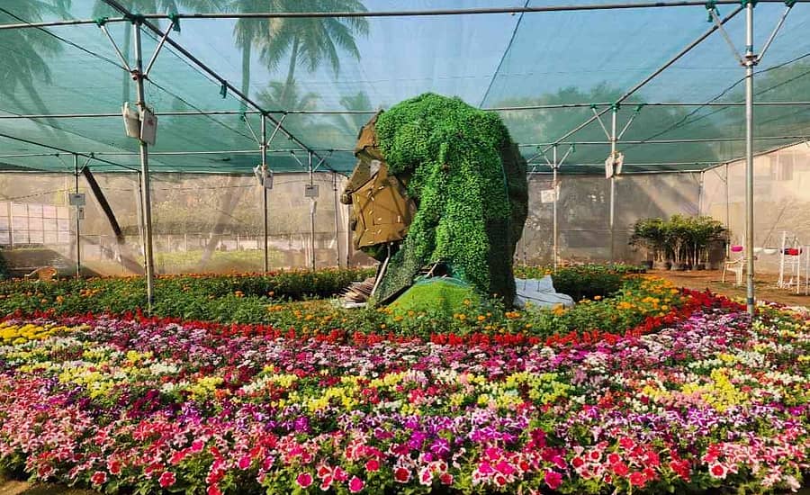 ಚಿತ್ರದುರ್ಗ ತೋಟಗಾರಿಕೆ ಇಲಾಖೆ ಕಚೇರಿ ಆವರಣದ ಸಸ್ಯಕ್ಷೇತ್ರದಲ್ಲಿರುವ ಸಸ್ಯ ಕಲಾಕೃತಿ