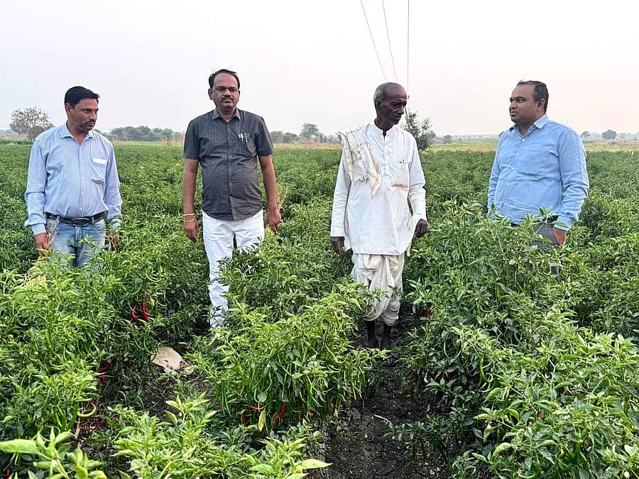ಬೀದರ್ ತಾಲ್ಲೂಕಿನ ಬಸಂತಪುರ ಗ್ರಾಮದ ಹೊಲದಲ್ಲಿ ಬೆಳೆದ ಮೆಣಸಿನಕಾಯಿ ಬೆಳೆಯೊಂದಿಗೆ ರೈತ ಈರಪ್ಪ ಕಾಳೆ (ಎಡದಿಂದ ಮೂರನೆಯವರು) ಹಾಗೂ ತೋಟಗಾರಿಕೆ ಇಲಾಖೆ ಅಧಿಕಾರಿಗಳು
