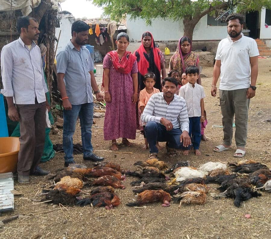 ಔರಾದ್ ತಾಲ್ಲೂಕಿನ ಗಣೇಶಪೂರ ತಾಂಡಾದಲ್ಲಿ ನಾಟಿ ಕೋಳಿ ಸತ್ತಿವೆ