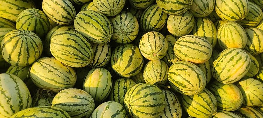 ಚಾಮರಾಜನಗರದ ಮಾರುಕಟ್ಟೆಯಲ್ಲಿ ಮಾರಾಟಕ್ಕೆ ಇಟ್ಟಿದ್ದ ಕಲ್ಲಂಗಡಿ ರಾಶಿ