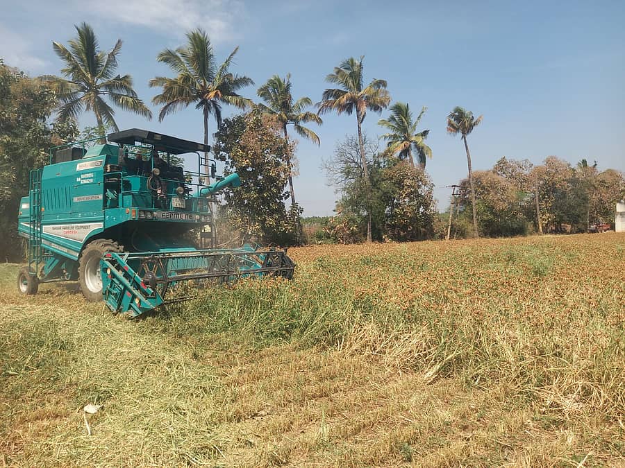 ಮಾಯಕೊಂಡ ಸಮೀಪದ ಜಮೀನೊಂದರಲ್ಲಿ ಯಾಂತ್ರಿಕೃತವಾಗಿ ರಾಗಿ ಕಟಾವು ಮಾಡುತ್ತಿರುವುದು.