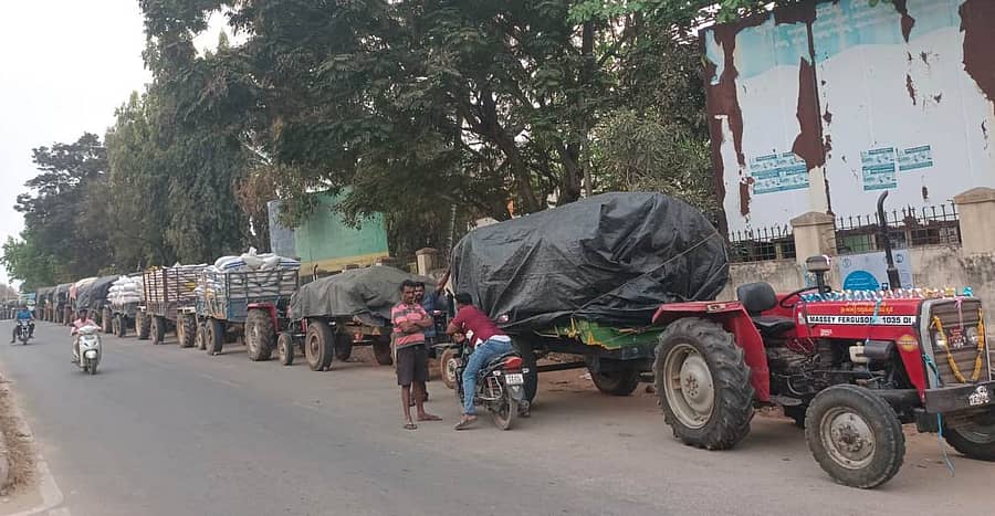 ತುರುವೇಕೆರೆ ಎಪಿಎಂಸಿ ಮುಂಭಾಗ ಸಾಲುಗಟ್ಟಿನಿಂತ ರಾಗಿ ತುಂಬಿದ ಟ್ರ್ಯಾಕ್ಟರ್‌ಗಳು