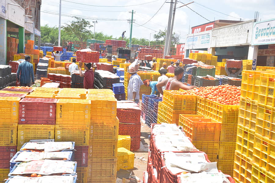 ಕೋಲಾರದ ಎಪಿಎಂಸಿ ಮಾರುಕಟ್ಟೆಯ ನೋಟ...