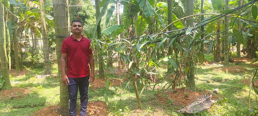 ಕೋಣಂದೂರು ಸಮೀಪದ ಕೆರೆಕೋಡಿಯ ಸಚಿನ್ ಅವರು ಅಡಿಕೆ ತೋಟದಲ್ಲಿರುವುದು