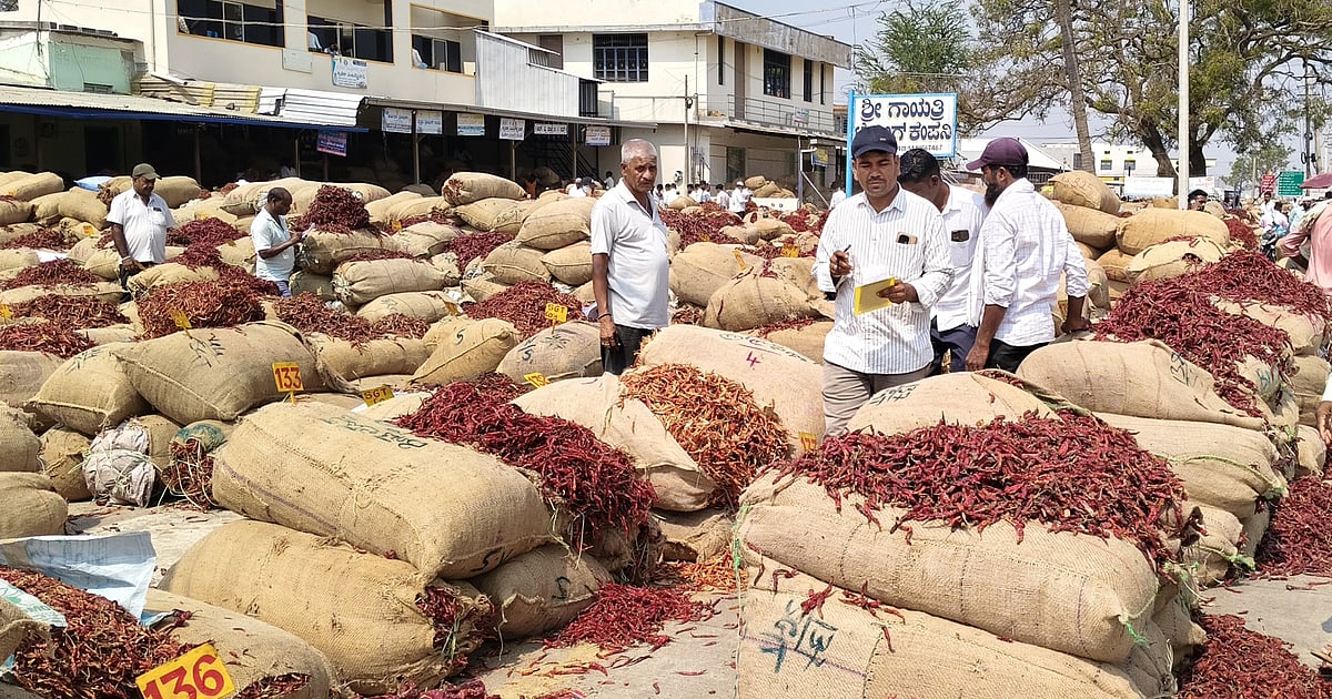 ಬ್ಯಾಡಗಿ ಮೆಣಸಿನಕಾಯಿ ಆವಕ: ಸ್ಥಿರತೆ
