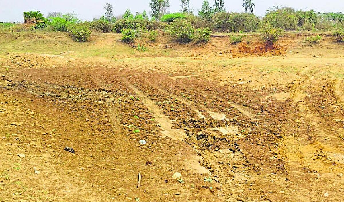 ಬಂಗಾರಪೇಟೆ | ಕುಡಿಯುವ ನೀರಿಗೆ ಹಾಹಾಕಾರ: ನಾಡಿನತ್ತ ವನ್ಯಜೀವಿಗಳ ಪಯಣ