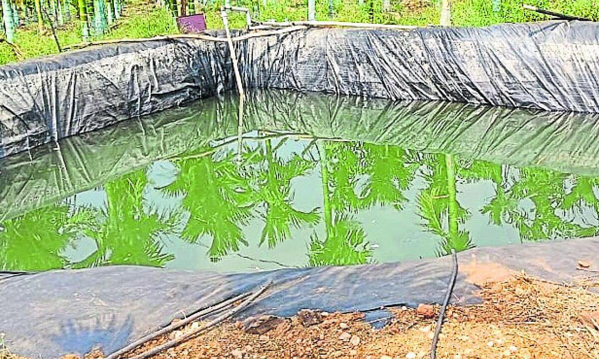 ಬಿಸಿಲಿನ ತಾಪ: ನೀರಿನ ಕೊರತೆ ಆತಂಕ