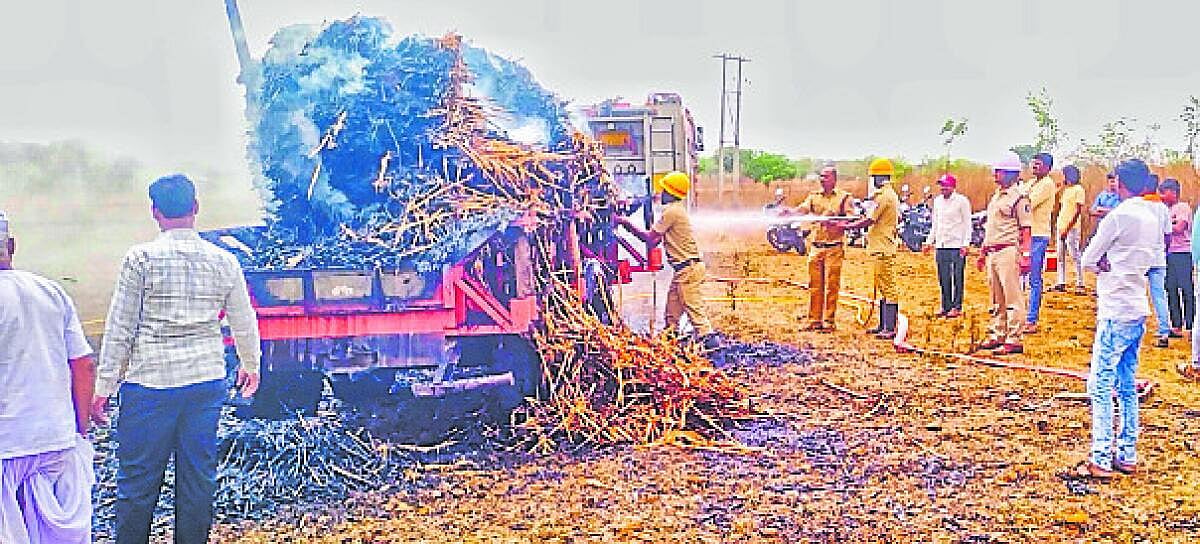 ಶಾರ್ಟ್ ಸರ್ಕಿಟ್: ಮೇವು ಬೆಂಕಿಗಾಹುತಿ