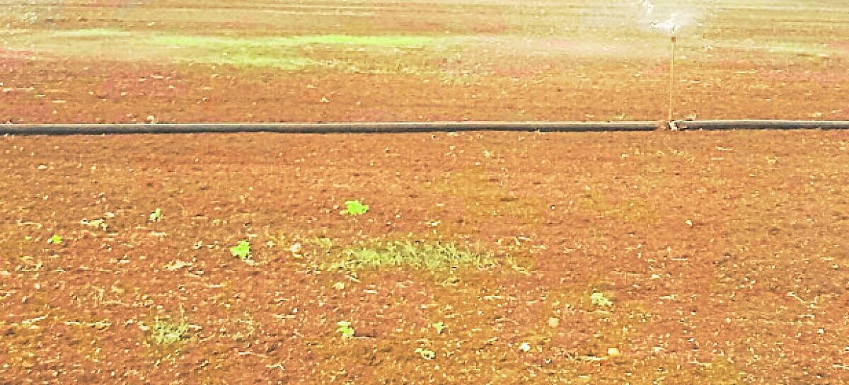 ನರಗುಂದದಲ್ಲಿ ನೂರಾರು ಅರ್ಜಿಗಳು ಬಾಕಿ