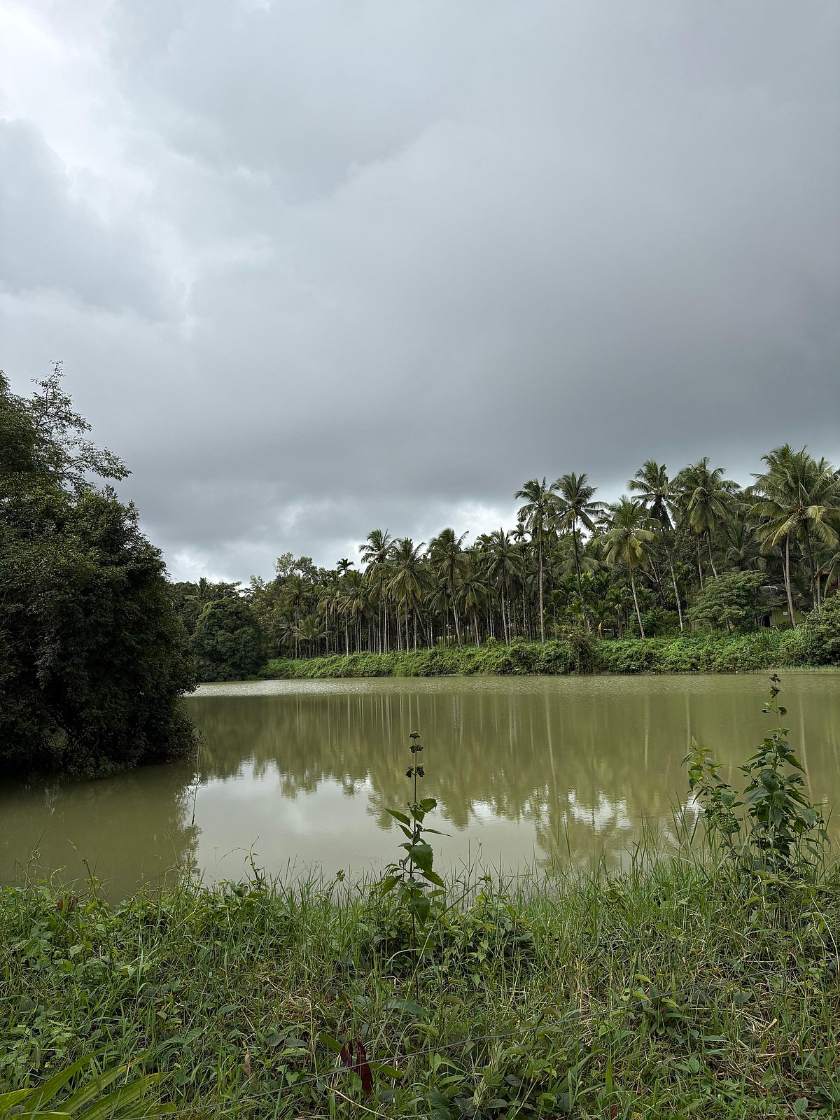 ಬೇಸೂರು | ಅಣುವಿದ್ಯುತ್ ಸ್ಥಾವರಕ್ಕೆ ಸಮೀಕ್ಷೆ?: ಜನವಸತಿ ಪ್ರದೇಶದಲ್ಲಿ ಆತಂಕ