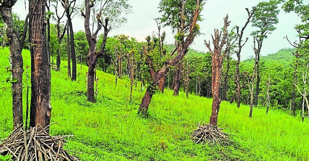 ಬ ಖರಾಬು ನಮೂದಿನಿಂದ ಅತಿಕ್ರಮಣ ಭೀತಿ