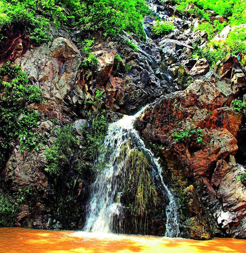 ಮುತ್ಯಾಲಮಡುವು, ಬನ್ನೇರುಘಟ್ಟಕ್ಕೆ ಪ್ರವಾಸ: ಕೆಎಸ್ಟಿಡಿಸಿ ಯೋಜನೆ