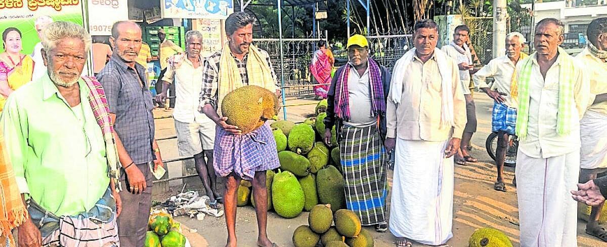 ವಿಶಿಷ್ಟ ರುಚಿ, ಸ್ವಾದದ ಹೊಳೆನರಸೀಪುರ ಹಲಸು