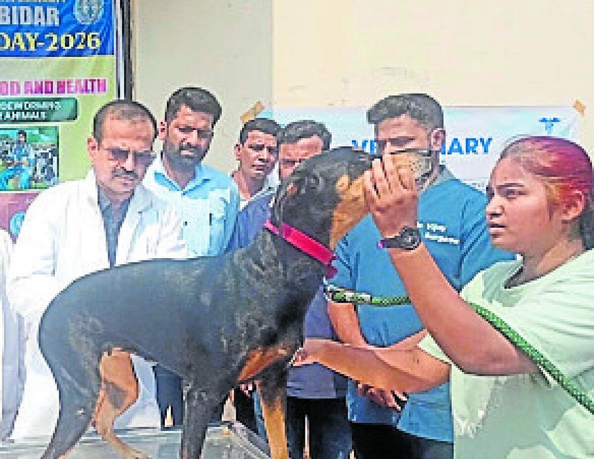 40 ಶ್ವಾನಗಳಿಗೆ ಹುಚ್ಚು ರೋಗ ಲಸಿಕೆ