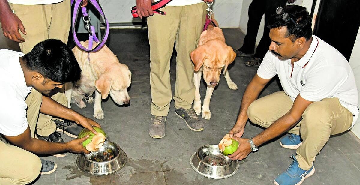 ಪೊಲೀಸ್‌ ನಾಯಿಗಳಿಗೆ ಕೂಲರ್‌ ಭಾಗ್ಯ!
