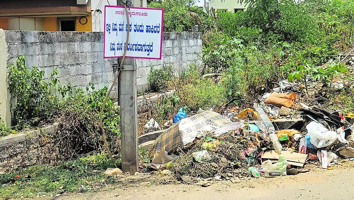 ಅಭಿವೃದ್ಧಿ ಕಾಣದ ಉದ್ಯಾನ