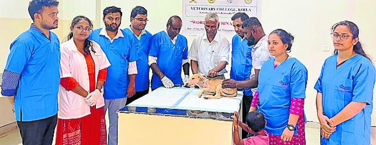 ಕೊಯಿಲ: ಸಾಕುಪ್ರಾಣಿಗಳಿಗೆ ಚಿಕಿತ್ಸೆ, ಲಸಿಕೆ