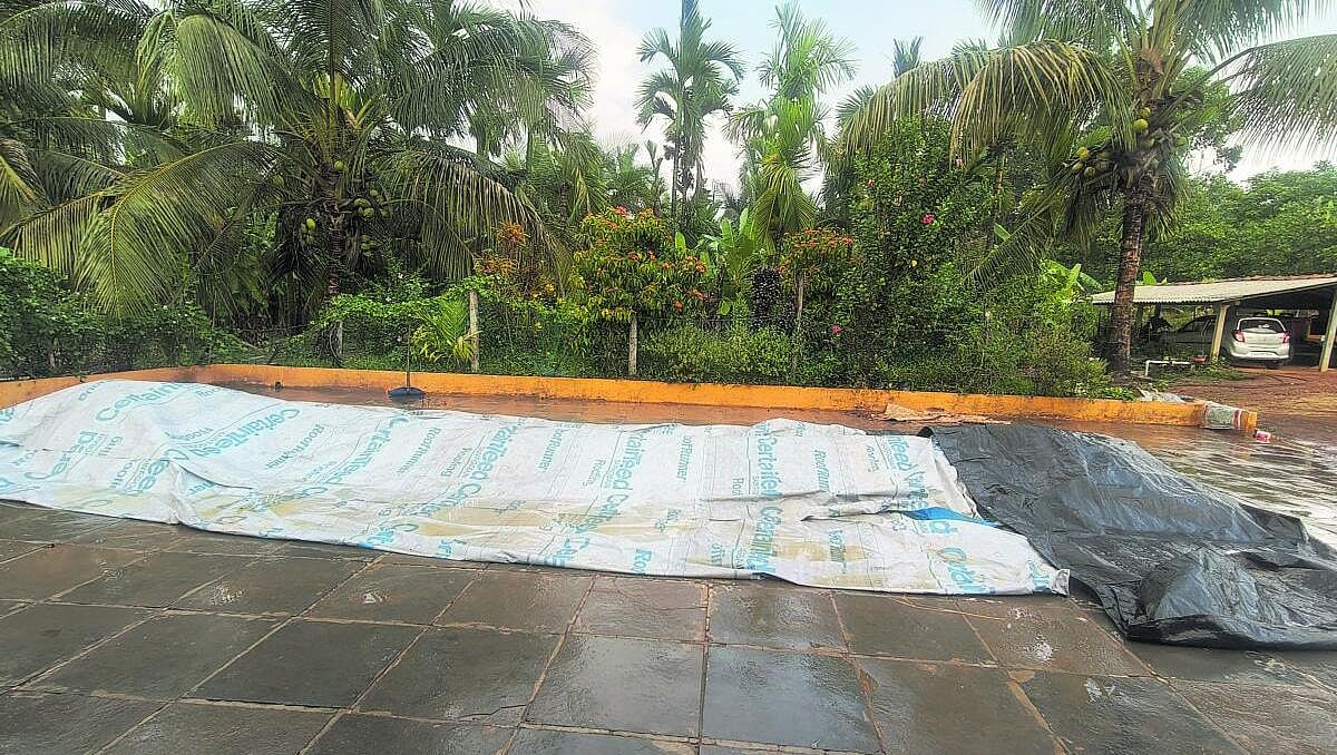 ಗಾಳಿ, ಬಿರುಸಿನ ಮಳೆ: ಆತಂಕದಲ್ಲಿ ರೈತರು