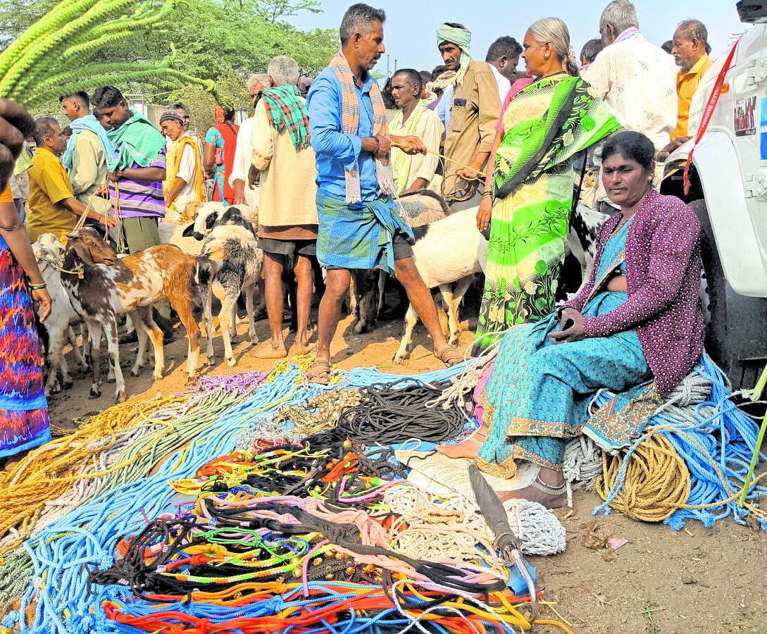 ಅಕ್ಕಿರಾಂಪುರ ಕುರಿ–ಮೇಕೆ ಸಂತೆಯೊಳ್...