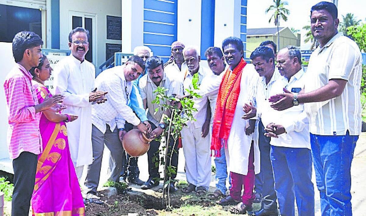 ‘ಸಾಲುಮರ ಸಂರಕ್ಷಣೆಗೆ ಎಲ್ಲರ ಸಹಕಾರ ಅಗತ್ಯ’