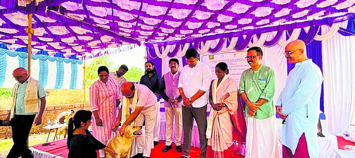 ‘ಒಗ್ಗಟ್ಟಿನ ಮನಃಸ್ಥಿತಿಯಿಂದ ಸಮತೋಲನ’