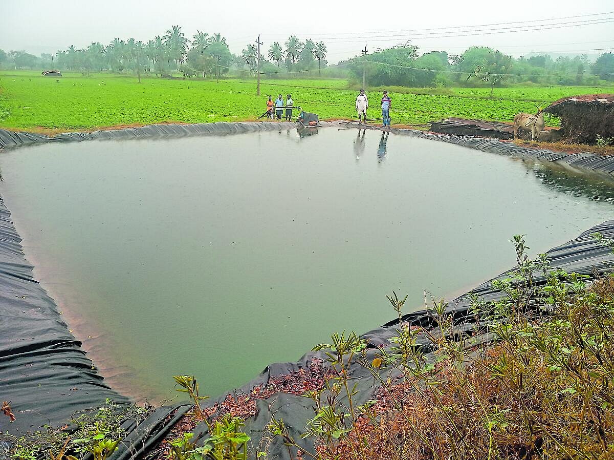 ಆಳ–ಅಗಲ: ಕೃಷಿ ಹೊಂಡ ಎಂಬ ಮೃತ್ಯುಕೂಪ