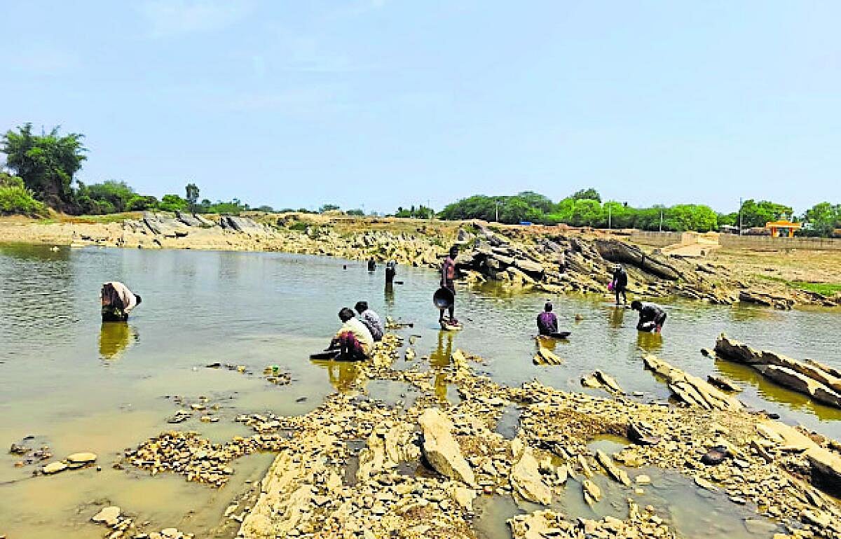 ವರದಾ ನದಿಯಲ್ಲಿ ಚಿನ್ನಕ್ಕೆ ಹುಡುಕಾಟ