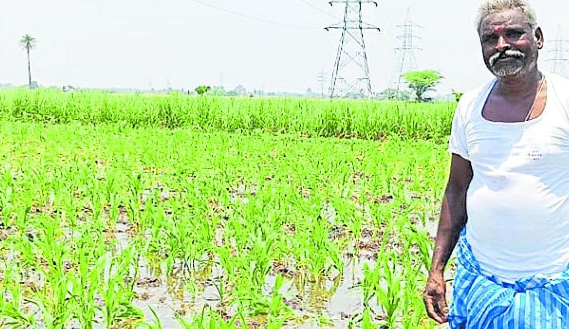 ಬೇಸಿಗೆ ಅಲ್ಪಾವಧಿ ಕೃಷಿಗಿಲ್ಲ ನೀರಿನ ಕೊರತೆ