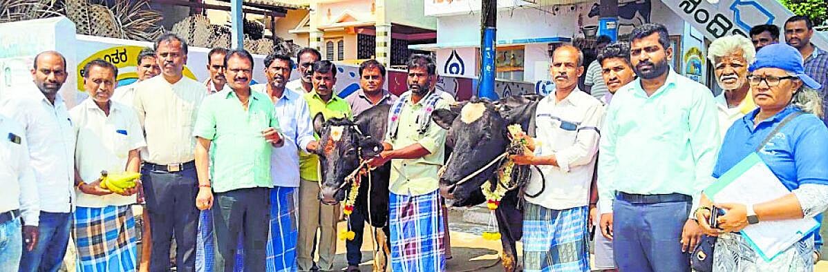 ಕಾಲುಬಾಯಿ ರೋಗ ಲಸಿಕಾ ಅಭಿಯಾನ