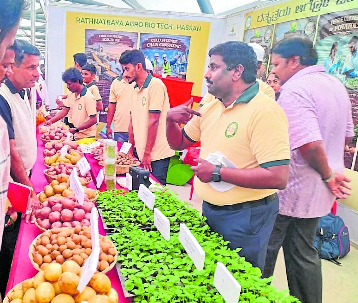 ‌‌ಅನ್ನದಾತರಿಗೆ ಆಸರೆ ಆದೀತೆ ಆಲೂಗಡ್ಡೆ