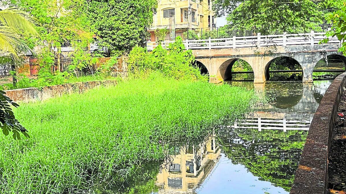 ಮಳೆಗಾಲ ಸನಿಹ: ಚುರುಕಾಗದ ಸಿದ್ಧತೆ ಕಾರ್ಯ