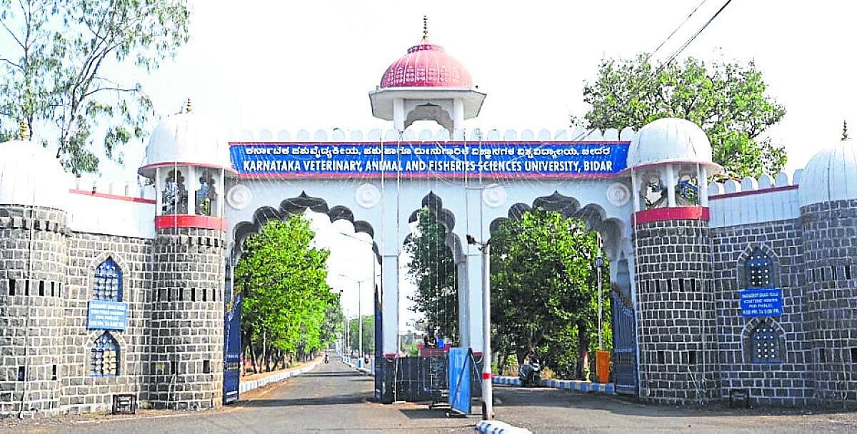 ಎನ್ಪಿಎ ವಿಶೇಷ ಭತ್ಯೆ ನಿಯಮಬಾಹಿರ