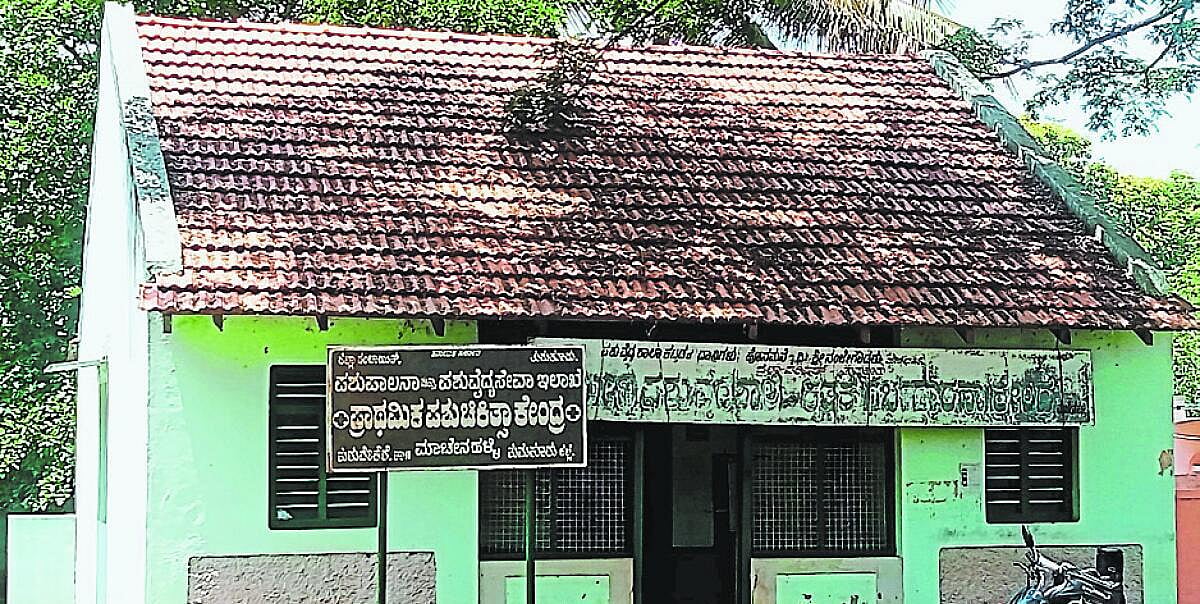 ಪಶು ಆಸ್ಪತ್ರೆಗೆ ಬೇಕಿದೆ ಶಸ್ತ್ರಚಿಕಿತ್ಸಾ ವೈದ್ಯರು