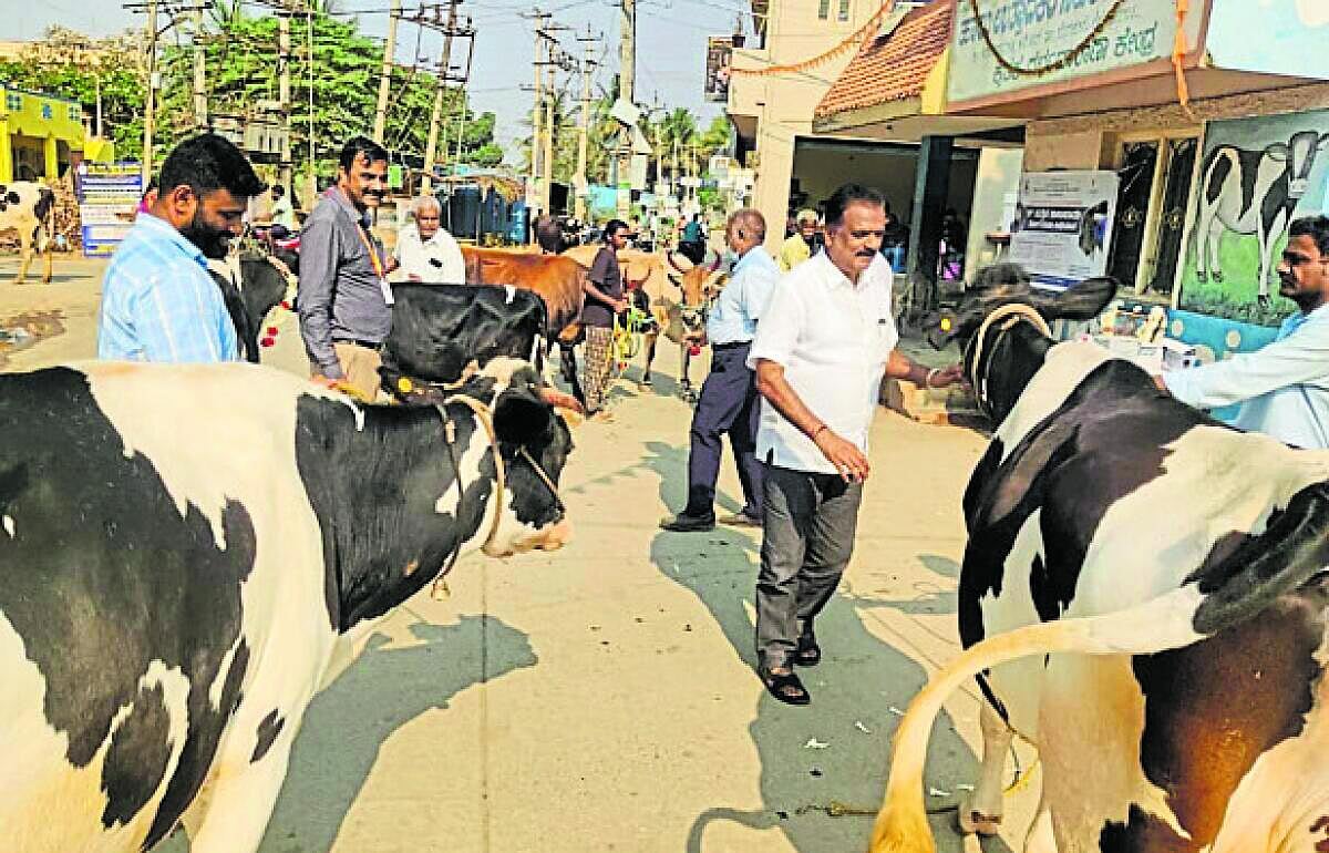 ಕಾಲುಬಾಯಿ ರೋಗ ತಡೆ ಲಸಿಕೆ ಅಭಿಯಾನ