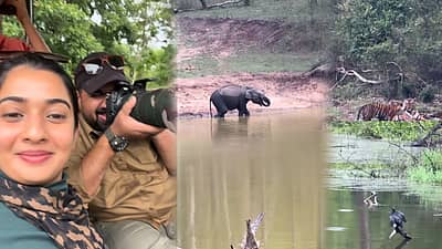 Sonal Tharun Safari: ಕುಟುಂಬದ ಜೊತೆ ಸಫಾರಿಗೆ ತೆರಳಿದ ನಟಿ ಸೋನಲ್, ತರುಣ್ ಸುಧೀರ್