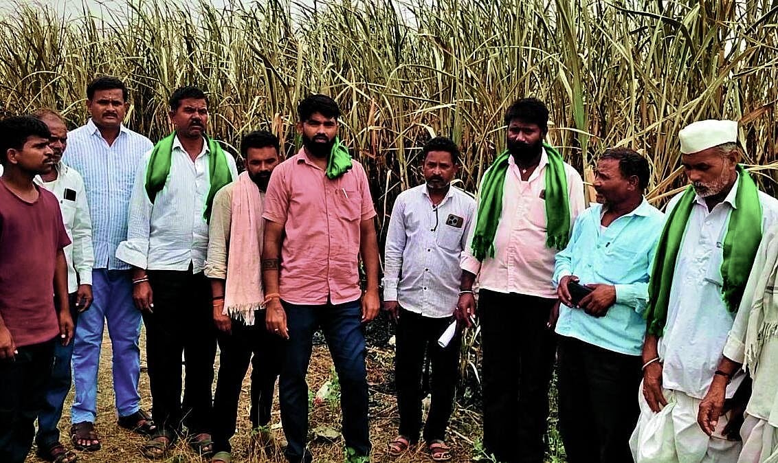 Power Short Circuit: ವಿದ್ಯುತ್‌ ಶಾರ್ಟ್ ಸರ್ಕಿಟ್‌: 7 ಎಕರೆ ಕಬ್ಬು ಬೆಂಕಿಗಾಹುತಿ