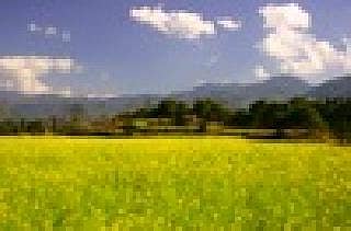 ಕಲಾತಪಸ್ವಿಯ ವಿಶಿಷ್ಟ ನೆನಪು By 11.50