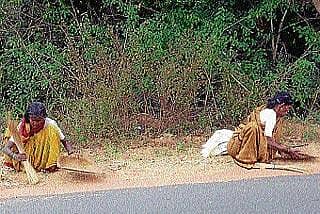 ಮಣ್ಣಲ್ಲಿ ಅನ್ನ ಹುಡುಕುವವರು !