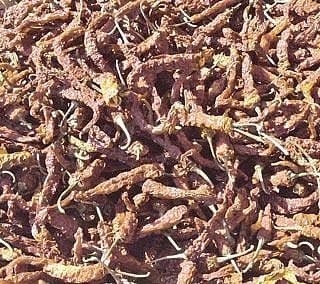 ಅಯೋಗ್ಯ ಬಿಳಿಗಾಯಿ ಮಾರಾಟ!