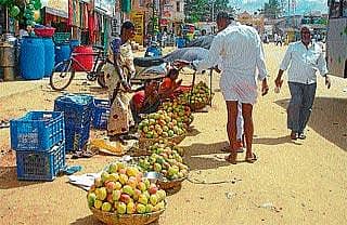 ಮಾವಿನ ಹಣ್ಣಿನ ಬೆಲೆ ಕುಸಿತ