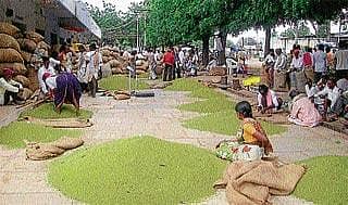 ತಗ್ಗಿದ ಹೆಸರಿನ ಆವಕ