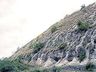 ಬಂಗಾರದ ಬೀಡಲ್ಲಿ ಕೊನರಿದ ಕನಸು